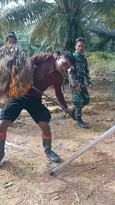 prajurit TNI mencoba angkat buah sawit ‼️#tni #abdinegara #sawit #shorts