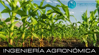 Ingeniería Agronómica - ¿Qué estudiar?