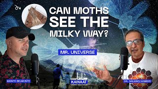 🐛 Moths Navigate by the Milky Way | Natures Hidden Cosmic Compass | Mr. Universe 🌌 |