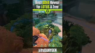 SOVA ATTACKING REVEAL FOR A TREE on LOTUS