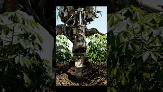 #shorts #unbox Farmer Builds INSANE Walking Tractor Mech 🤯🚜#WalkingTractor #FarmMech #DIYEngineering