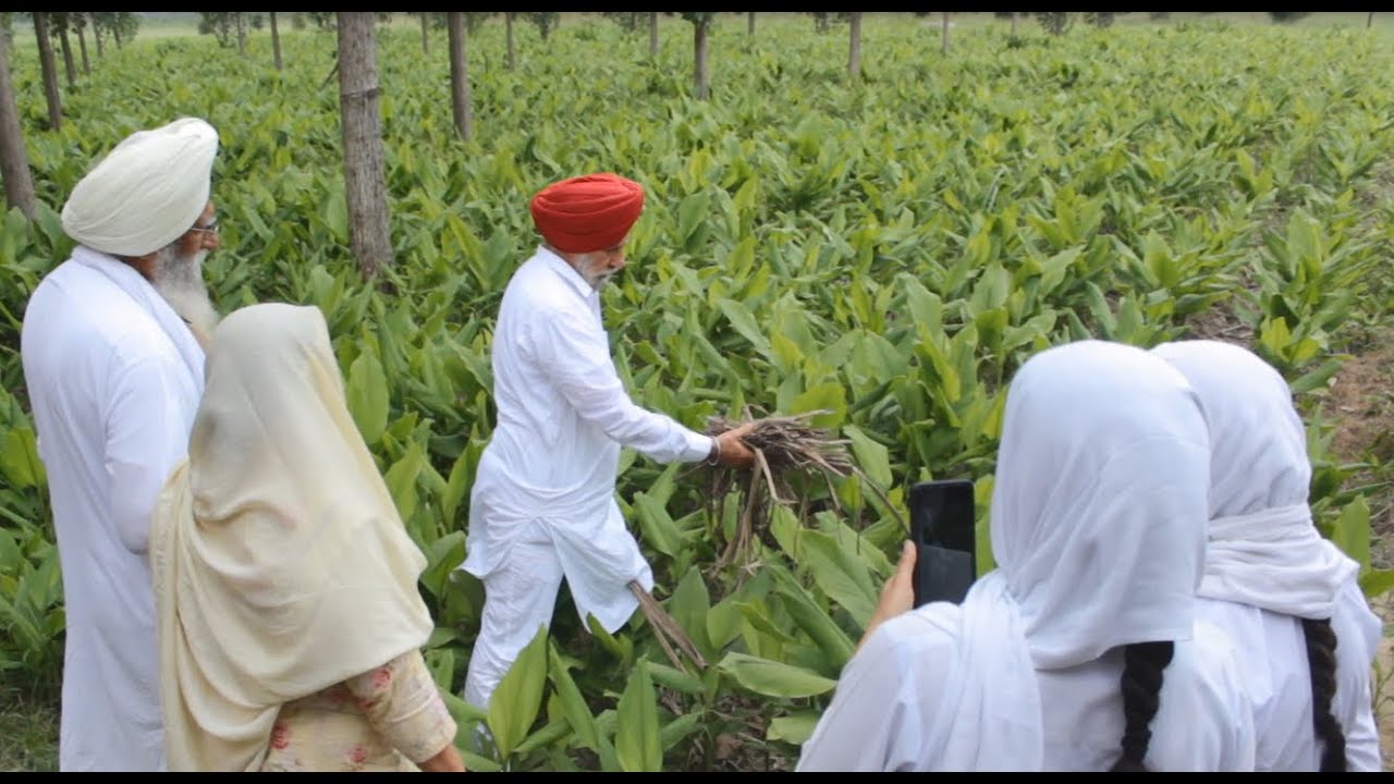 New Steps in Natural Farming (ਕੁਦਰਤੀ ਖੇਤੀ ਵਿੱਚ ਨਵੀਆਂ ਪੁਲਾਂਘਾਂ)-- S. Rajbir Singh