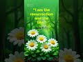 Jesus Said This… And It Changes Everything ✝️ | John 11:25 #Shorts