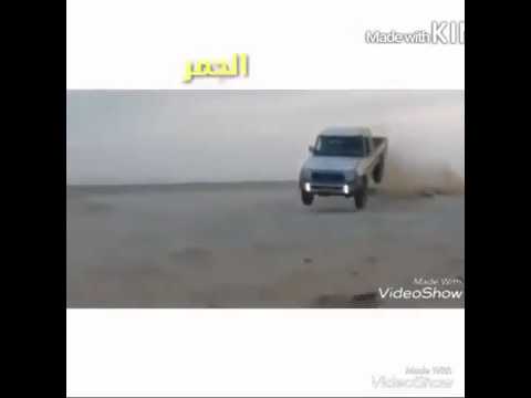 على شعاع القمر مسرا كحيلاني النور مفصول الرمي على بابه