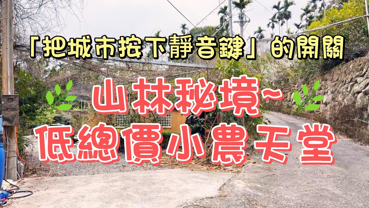 568萬-[南投中寮]470公尺山林秘境｜合法資材室・有電有井・低總價養生地#這塊地不是賣坪數，是賣一種慢下來的生活節奏#農牧用地#合法資材室#有電井水#低總價#南投農地#房地買賣找阿皮-N614