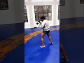 Best punching wushu style #shorts #shortsvideo #martialarts #motivation #virulshorts #workout #wushu