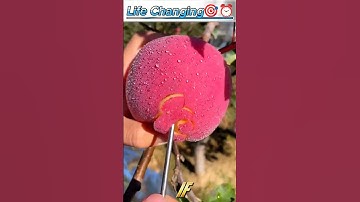 Stop Scrolling 🚨 95% Will Ignore This Truth in America 🇺🇸 |#shorts #shortsviral #usa #usashorts