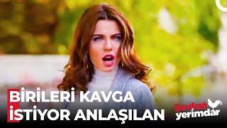 Sinirli Bir Esin On Kaplan Gücünde Olabilir - Şevkat Yerimdar