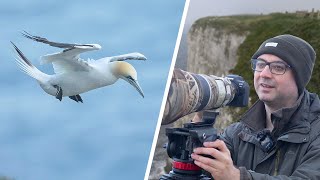 Visiting Bempton Cliffs on a Windy Day - Bird Photography on the Coast (Canon R6, EF 500mm F/4 Lens)