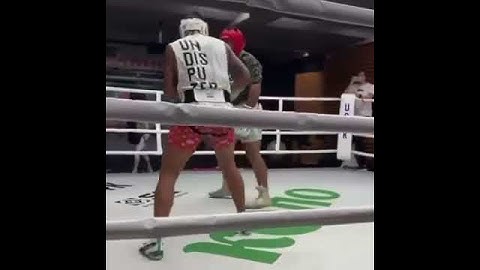 DAVE ALLEN SHOWS USYK SPARRING SESSION | Includes the shot that retired the White Rhino from boxing