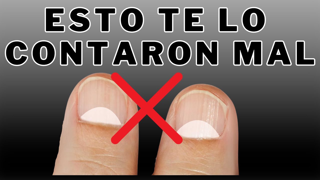 ¿Qué Significa Realmente la Media Luna en el dedo Gordo? 🤔 Media Luna