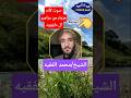 أجمل تلاوه من سوره الزمر بصوت الشيخ المقرئ محمد الفقيه أجمل تلاوه من سوره الزمر بصوت الشيخ المقرئ محمد الفقيه