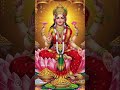 Mahalaxmi asi chanti dhara prustaku 🌿 jai maa mahalaxmi puja coming soon status #mahalaxmi