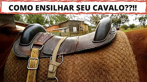 O que vai para encilhar um cavalo?