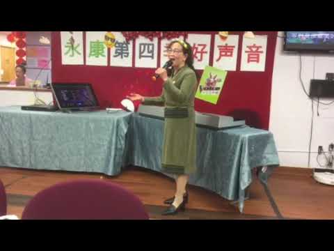 陪你一起看草原