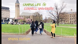 Weeks in the life of a Cornell student | Spring 2019