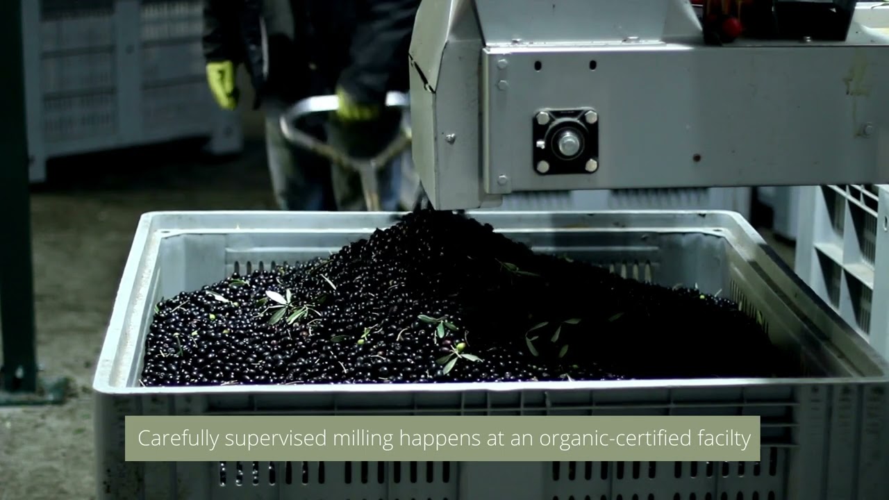 Grove 45 Extra Virgin Olive Oil Video Thumbnail