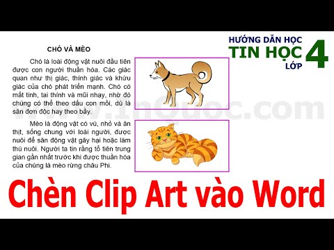 Video: Cách chọn địa chỉ email: 4 bước (có hình ảnh)