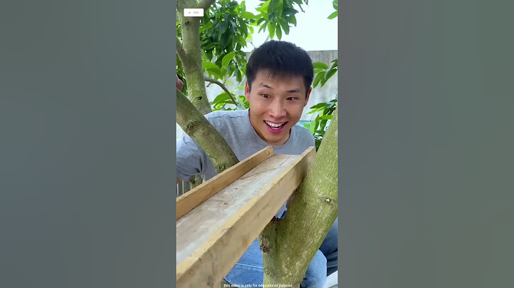 Ayodhya Ram Mandir Mini Vlog 🤩~#shorts #freefireshorts #funnyvideos #ayodhya #tiktok #fun