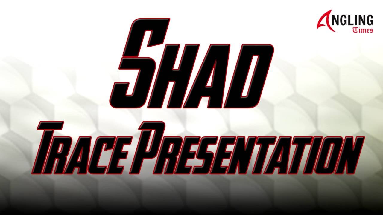 Shad Trace