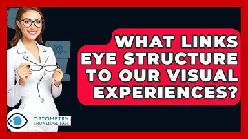What Links Eye Structure To Our Visual Experiences? - Optometry Knowledge Base