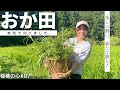 岡田桃佳の「稲穂の心#7」真夏のリベンジ