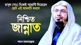 ছোট এই আমলটি করলে নিশ্চিত জান্নাত - রাসুল (সাঃ) নিজেই গ্যারান্টি দিয়েছেন | New Waz Shaikh Ahmadullah