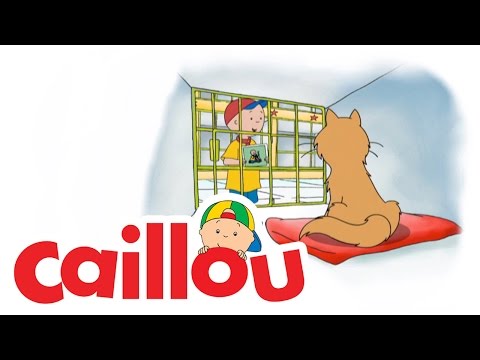 Caillou - Where's Gilbert?  (S04E01) | Videos For Kids