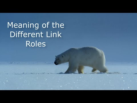 Polarion ALM - Meaning of the different link roles #20