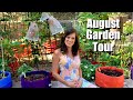 August Garden Tour- Record Heat Wave, Battling Pests & Critters, Planting More Vegetables! 🍅🥒🍆