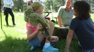 Happy Tails Summer Day Camp
