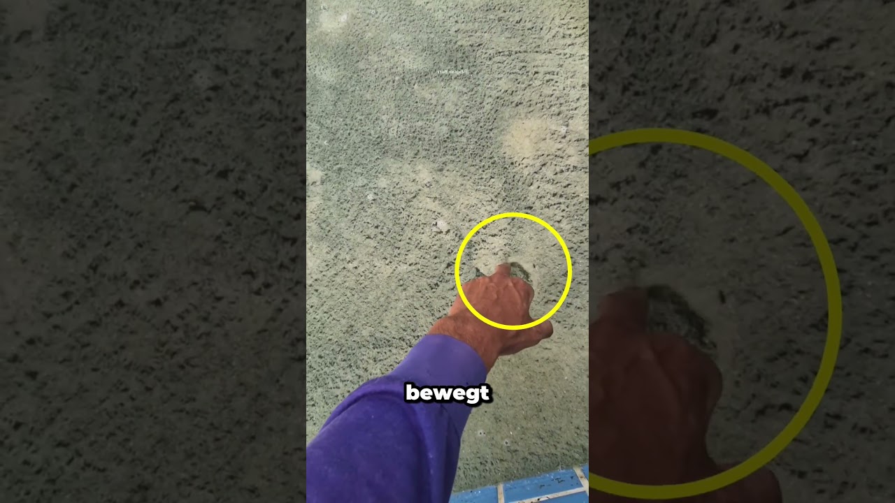 Warum wird das Wasser plötzlich klar?