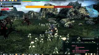 VINDICTUS - SPEAR LANN vs. KAZGULAM (AMBUSH).avi