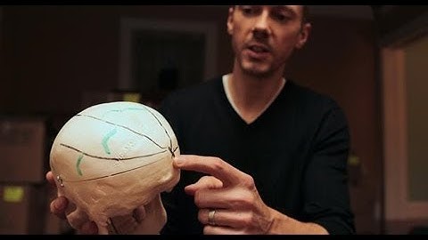 Forensic pathologist examines evidence of JFK assassination