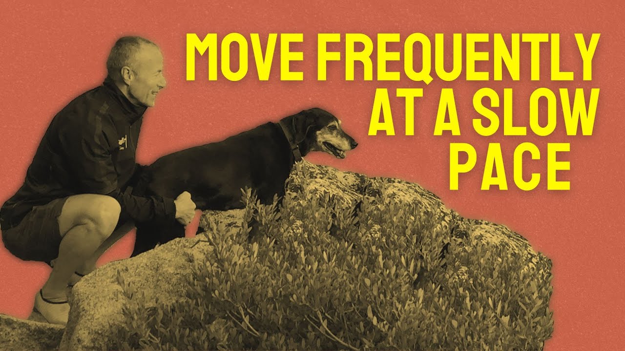 B.rad Podcast - Breather: The Primal Blueprint Laws 1-5 Overview