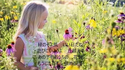 緑のそよ風