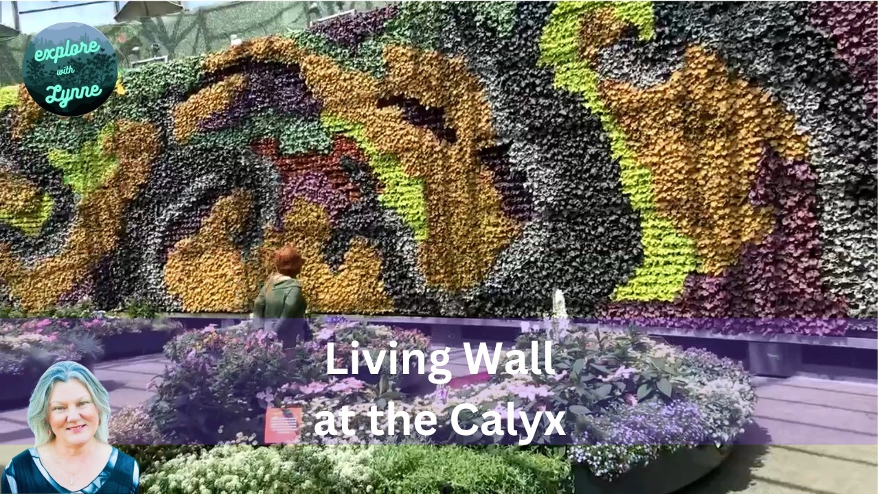 A Visit to the Stunning Flower Wall at the Calyx, a Rainforest Walk at the Botanical Gardens, Sydney