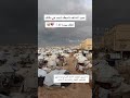 لا تنسون أهلكم الآلاف أصبحوا بلا مأوى يفترشون الشوارع تحت برد لا يرحم تبرع توصل واتس00972599511901 