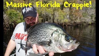 While often overlooked, florida offers some of the best crappie
fishing in us. blessed with year-round growing seasons and lots water
sunshine sta...
