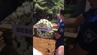 Cüneyt Arkının Çok Sevdiği Papatyalardan Eşi Betül Hanım Üzerine Bebeğim Yazdırmış.