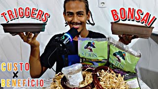 ASMR RELAXING BONSAI TRIGGERS 🧠💤 custo x benefício 😍 #asmr #bonsai