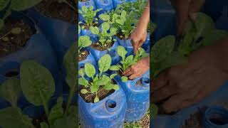 Don't throw away old jerrycans. Do this.....