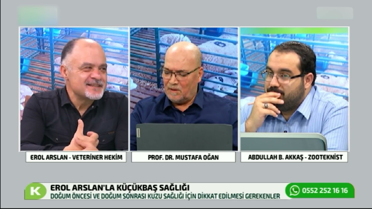DOĞUM ÖNCESİ VE DOĞUM SONRASI KUZU SAĞLIĞI | EROL ARSLAN'LA KÜÇÜKBAŞ SAĞLIĞI