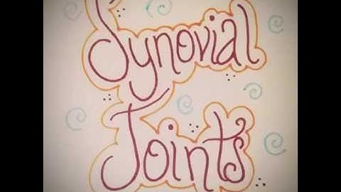 Synovial Joint Modeling Project