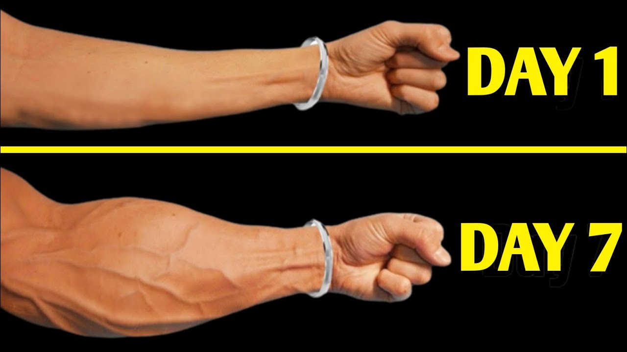 bigger forearms workout at gym - go go gym go - YouTube