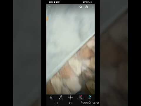 Radio Keven cismou de usar o vídeo mais populoso excluído do meu canal chamado 18 de março de 2018