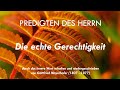 PREDIGTEN DES HERRN - Die echte Gerechtigkeit - 31. Predigt
