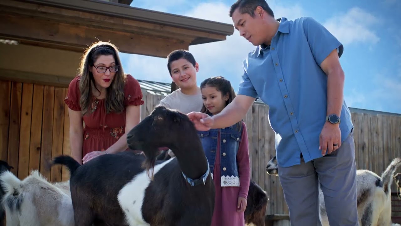 Окунитесь в историю и станьте свидетелем ее оживления в Музее сотворения мира.