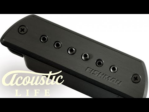 ギター FISHMAN Blackstack Soundhole Pickup Amazon.com: Fishman Blackstack Passive Soundhole Pickup