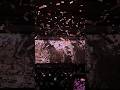 Allu Arjun entry in racegurram Re-release theatre response hyderabad